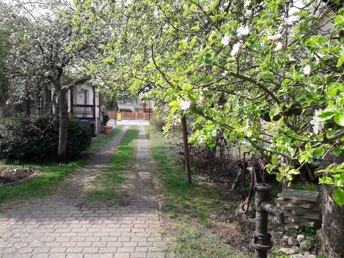 Ferienhaus Gartentraum Rheinsberg Eksteriør billede